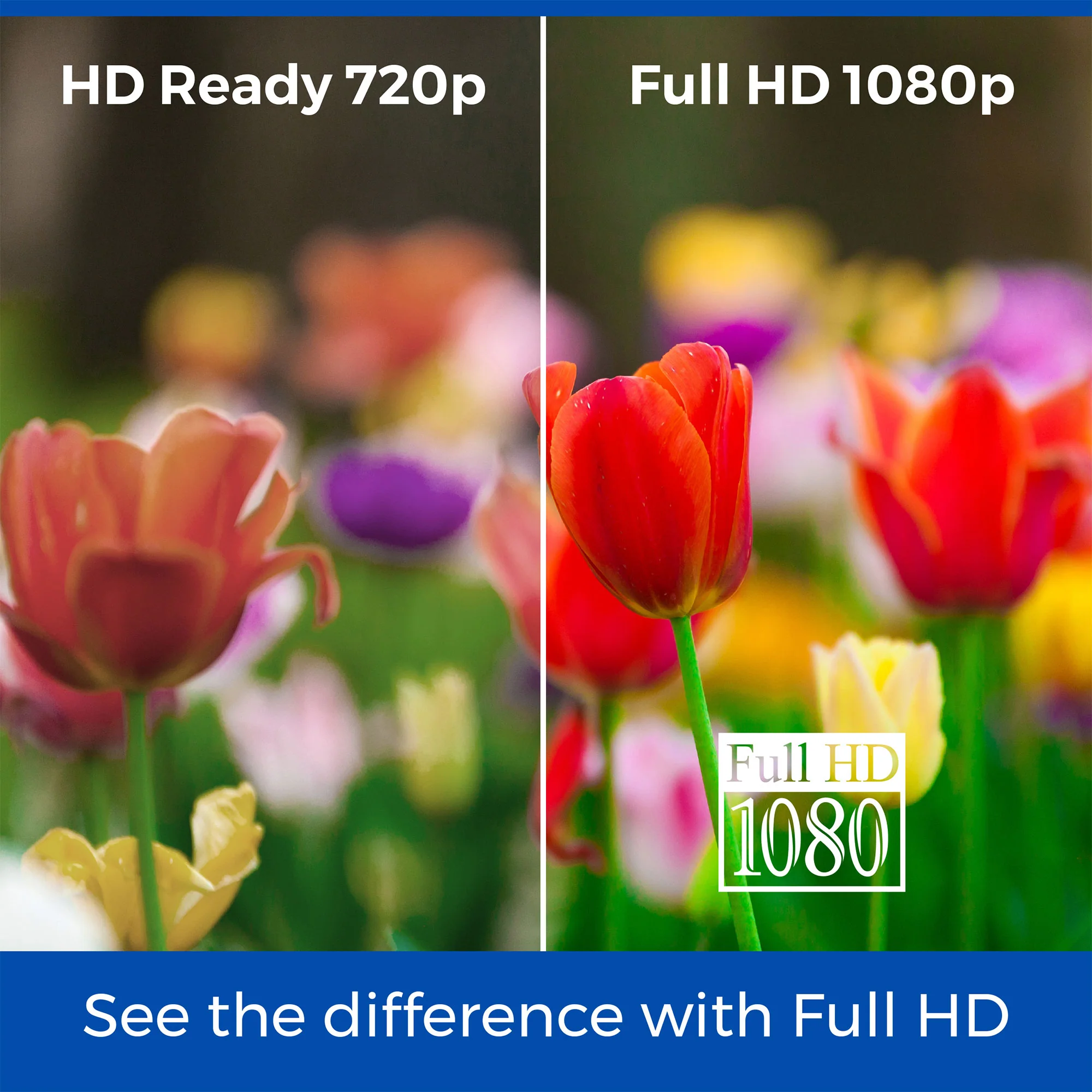 43″ Smart WebOS Full HD TV with Freeview Play and Frameless Bezel - Image 5